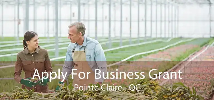 Apply For Business Grant Pointe Claire - QC